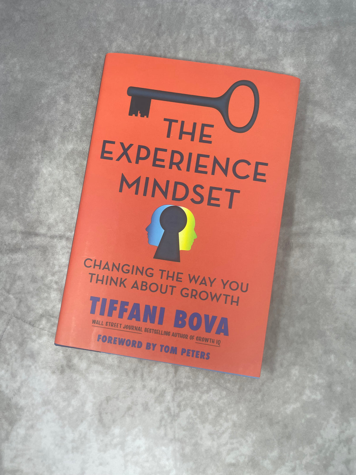 The Experience Mindset by Tiffani Bova