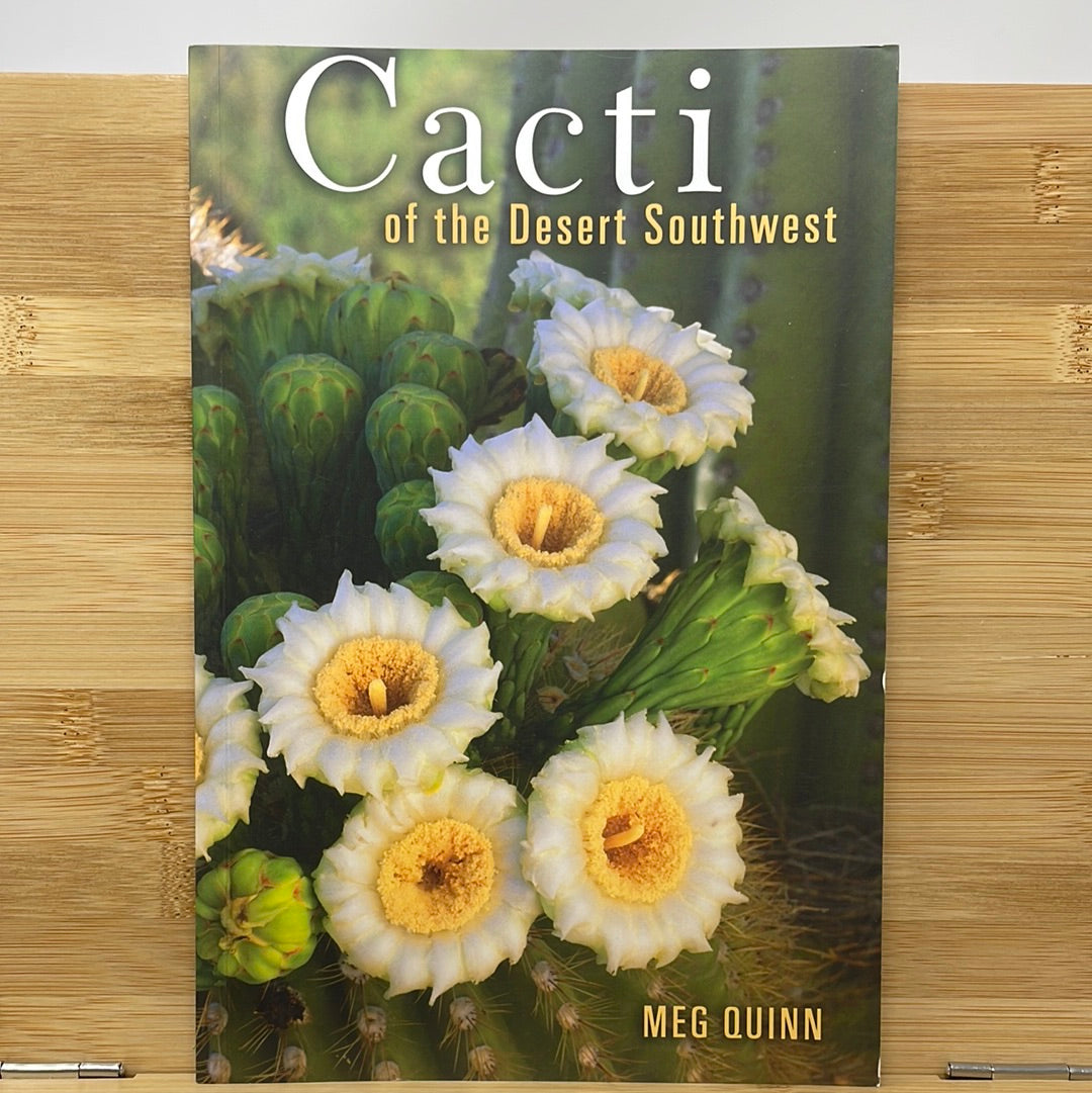 Cacti of the desert southwest by Meg Quinn