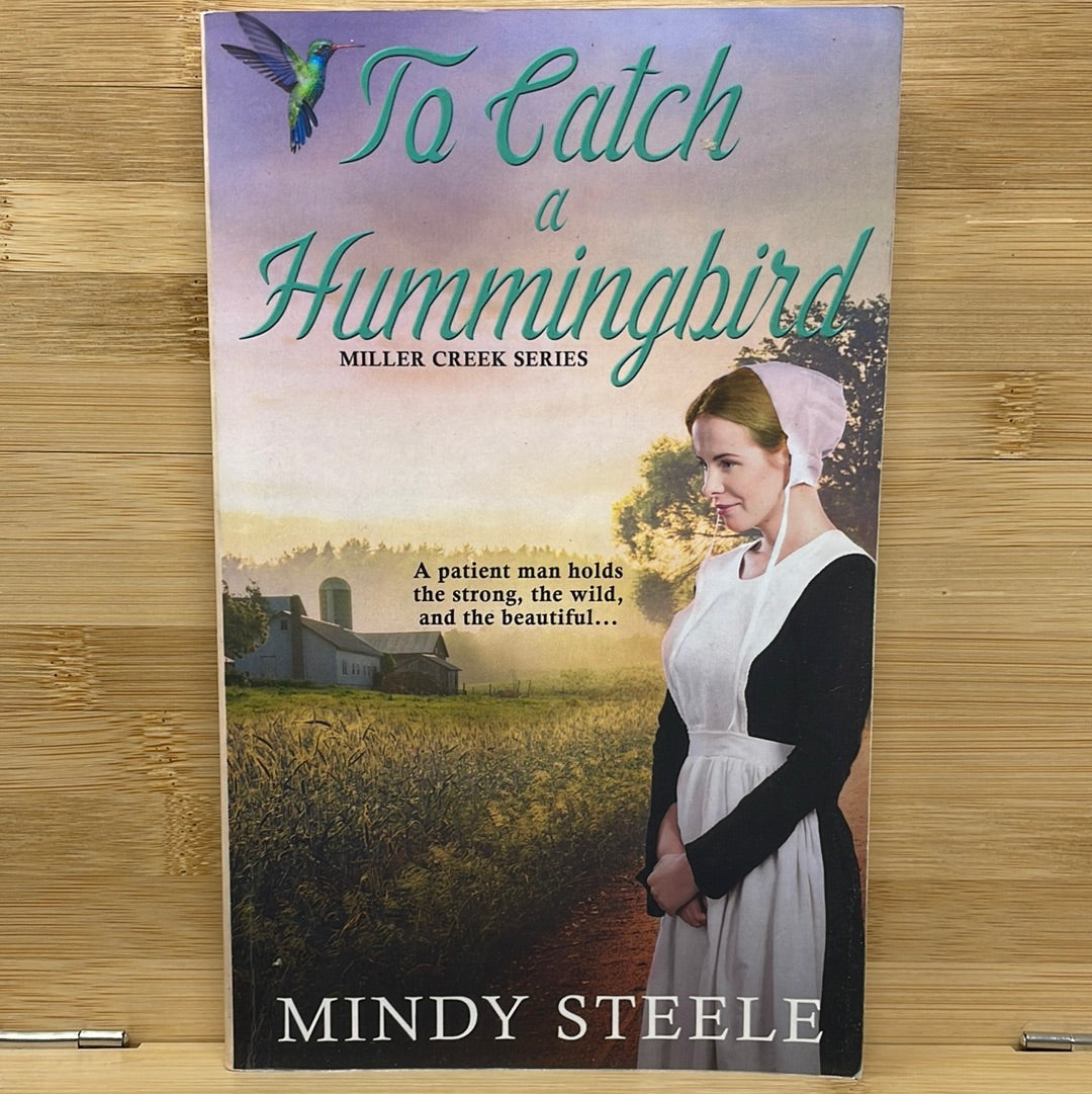To catch a hummingbird by Mindy Steele