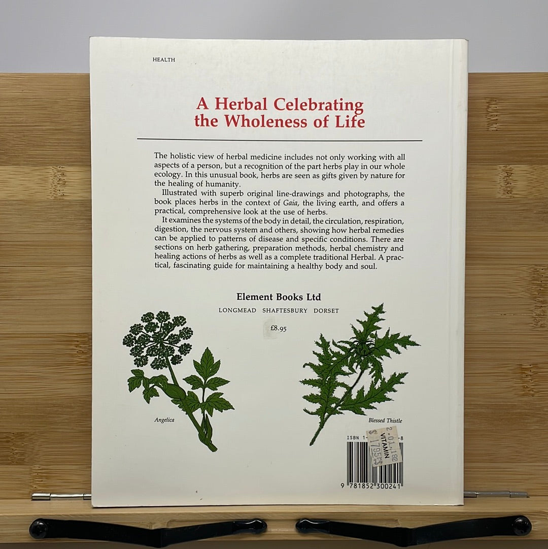 The holistic herbal by David Hoffman
