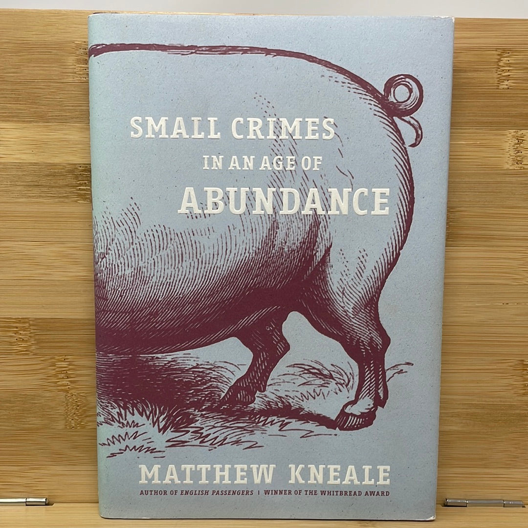 Small crimes in an age of abundance by Matthew Kneale