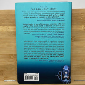 The brilliant abyss exploring the majestic hidden life of the deep ocean and it’s looming thread that and imperils it By Helen scales