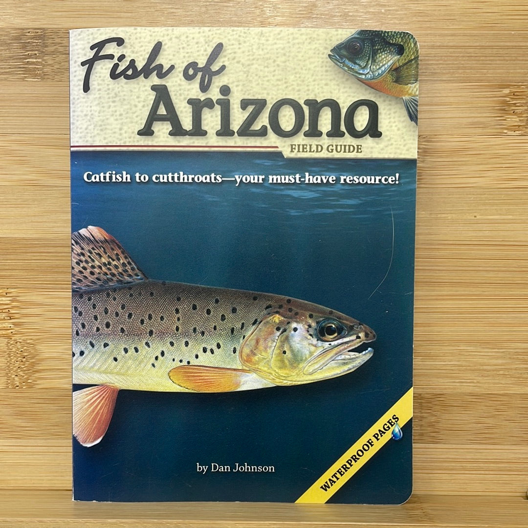 Fish of Arizona field guide catfish to cutthroats you must have resource by Dan Johnson
