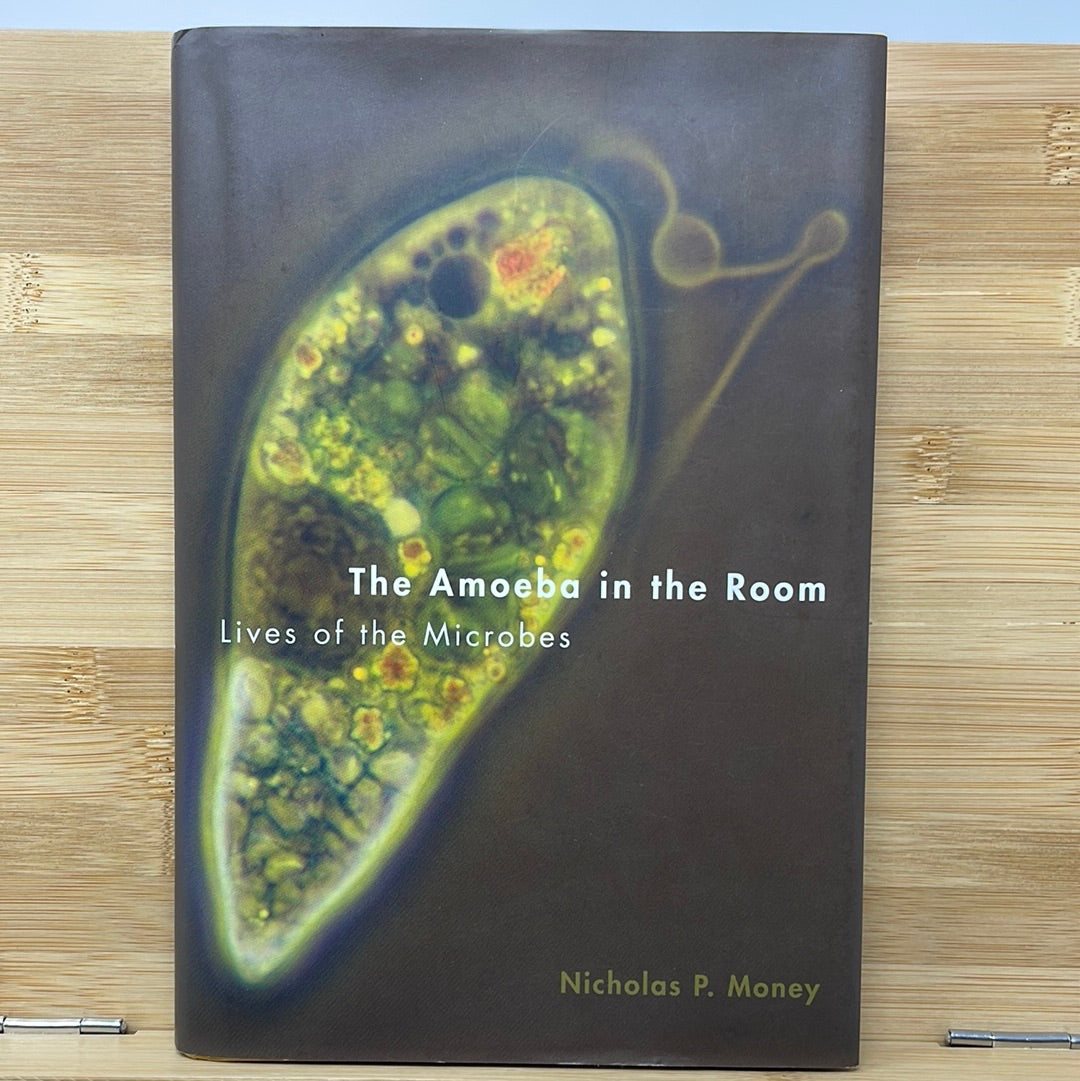 The amoeba in the room lives of microbes by Nicolas P money